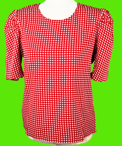 Red and White Checks Top with Puff Sleeves
