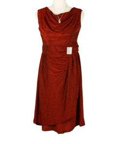 Red Sleeveless Stretch Dress with Silver Buckle